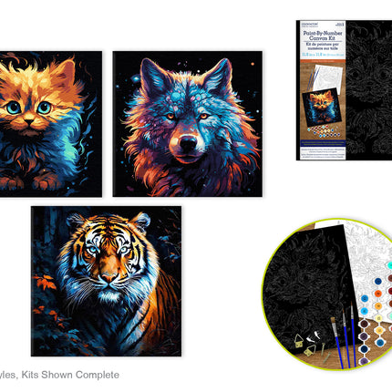 Kit de peinture a numéros sur toile 12X12po