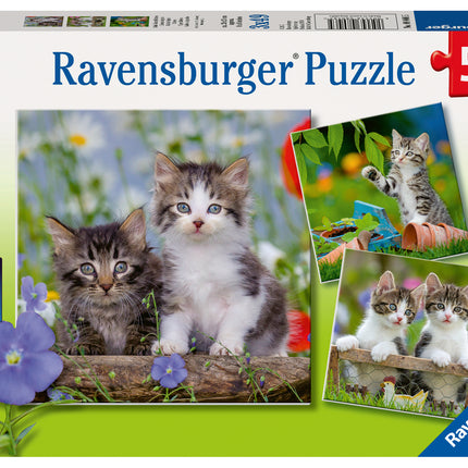 C-T 3x49 Ravensburger Tiger Kittens