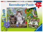 C-T 3x49 Ravensburger Tiger Kittens