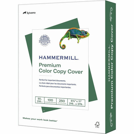 Paquet de 250 cartons 8.5x11'' Hammermill Color Copy Cover 80lb