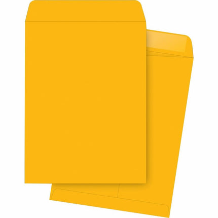 Business Source - Durable Kraft Catalogue Envelopes 9x12'' 250/box 