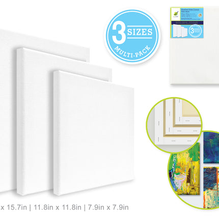 Ens de 3 toiles montée 8X8po 12X12po 16X16po Color factory