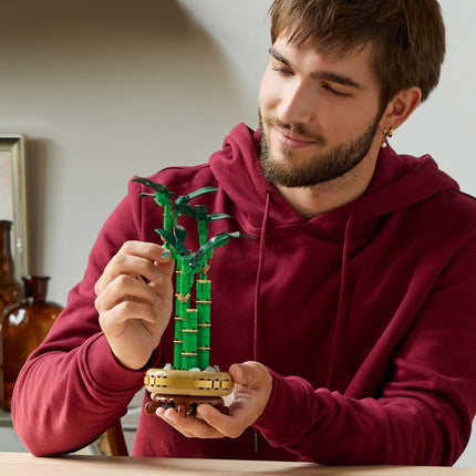 Lego Botanicals 10344 Lucky Bamboo 