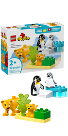 LEGO® DUPLO® Familles d’animaux sauvages : Pingouins et lions Jouet d’imagination 10442