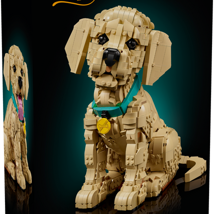 Lego Icons 11384 Golden Retriever Puppy