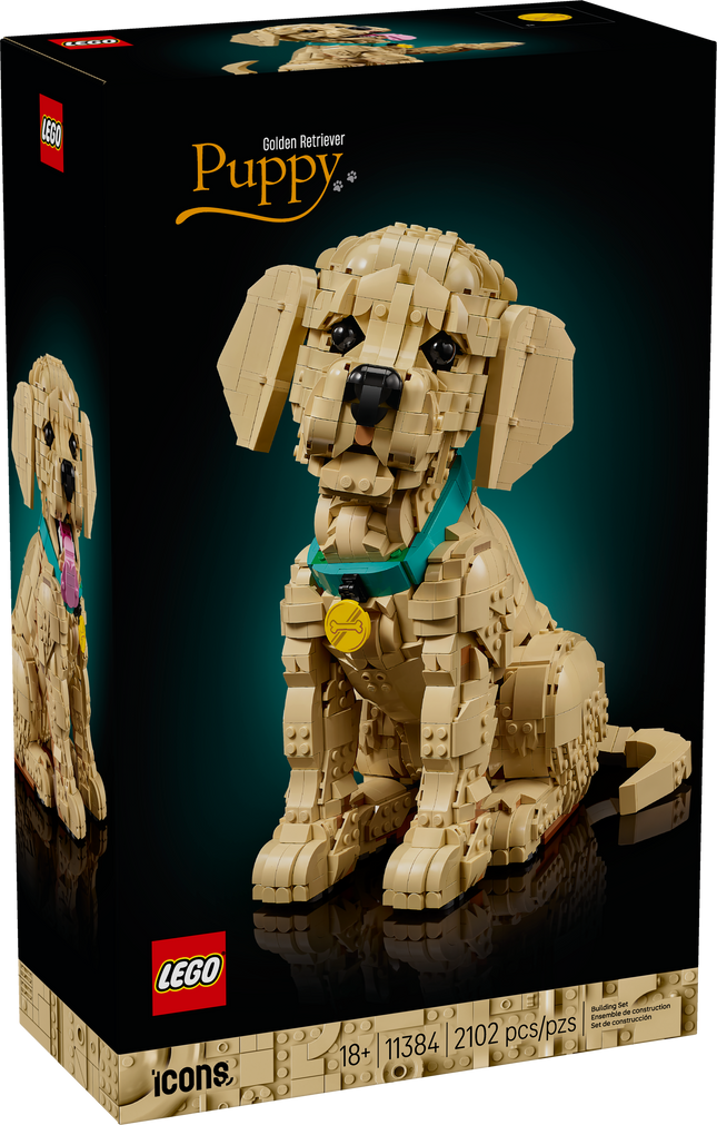 Lego Icons 11384 Le chiot Golden Retriever