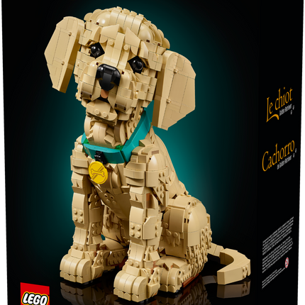 Lego Icons 11384 Golden Retriever Puppy