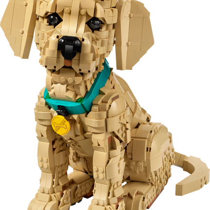 Lego Icons 11384 Golden Retriever Puppy