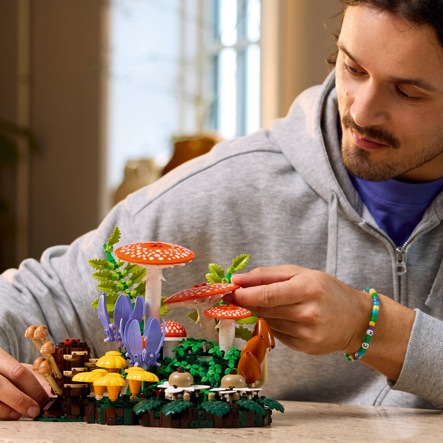 LEGO® Botanicals Les Champignons des Bois, Ensemble 11505
