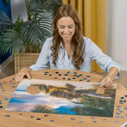 CT 1000 Ravensburger Seychelles
