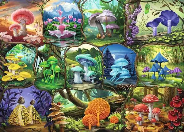 C-T 1000 Ravensburger Nathanael Mortensen: Beautiful Mushrooms