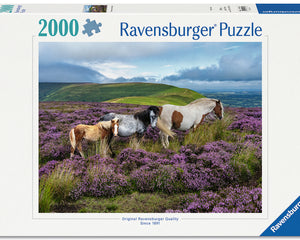 Collection image for: 2000 Pièces