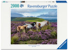 Wild Horses in the Heather 2000 Pc
