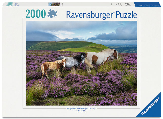 Wild Horses in the Heather 2000 Pc