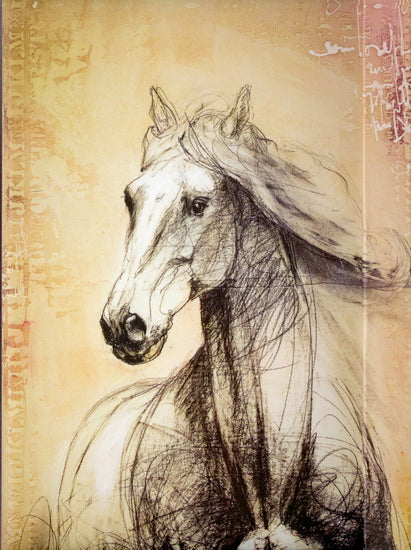 Grand journal Sérénité Cheval 144p.