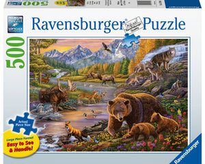 Collection image for: 500 Pièces