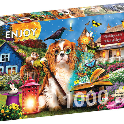 C-T Enjoy Magic School | 1000 Piece