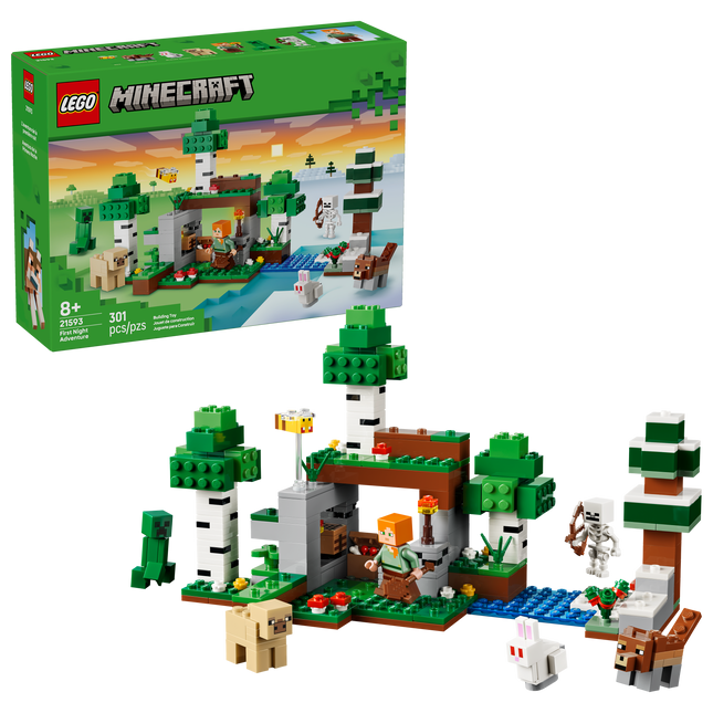 LEGO® Minecraft® L’Aventure de la Première Nuit, Jouet 21593