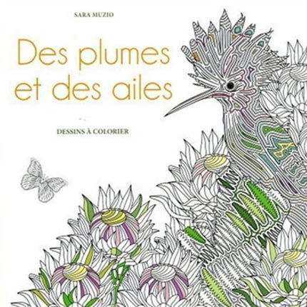 Des plumes et des ailes : dessins à colorier