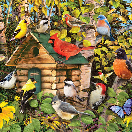 Ct 1000 cobble hill bird cabin