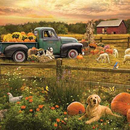 CT Cobble Harvest Time | 1000 pieces 