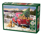 CT Cobble Family Outing | 1000 Pieces 