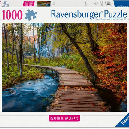C-T 1000 Ravensburger Autumnal wood trail