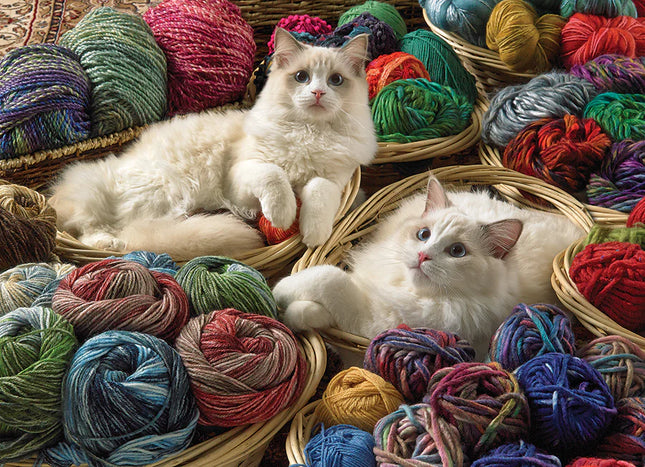 C-T Cobble Ragdolls | 1000 pièces