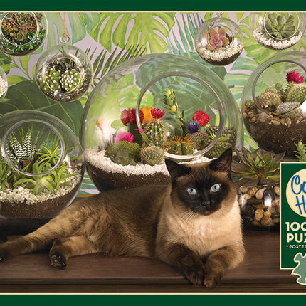 C-T Cobble Chat de terrarium | 1000 pièces