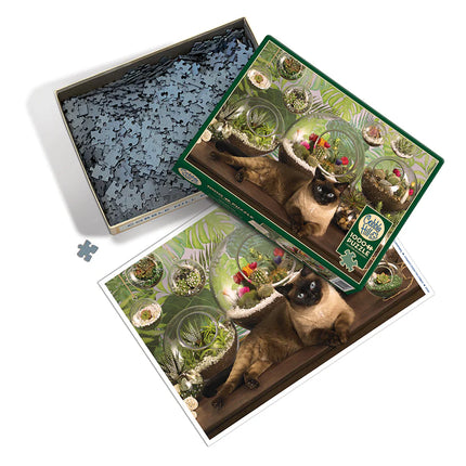 C-T Cobble Chat de terrarium | 1000 pièces