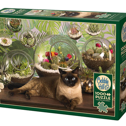 C-T Cobble Chat de terrarium | 1000 pièces