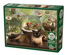 C-T Cobble Chat de terrarium | 1000 pièces