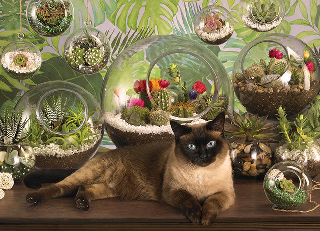 C-T Cobble Chat de terrarium | 1000 pièces