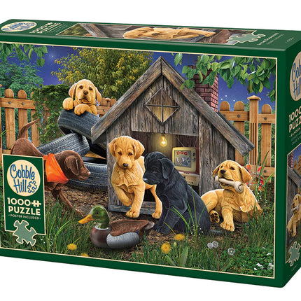 CT Cobble In the Niche | 1000 pieces 