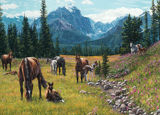 C-T Cobble Prairie aux chevaux | 1000 pièces