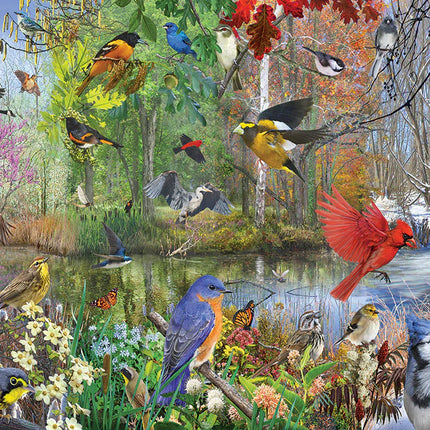 CT Cobble Seasonal Birds | 1000 pieces 