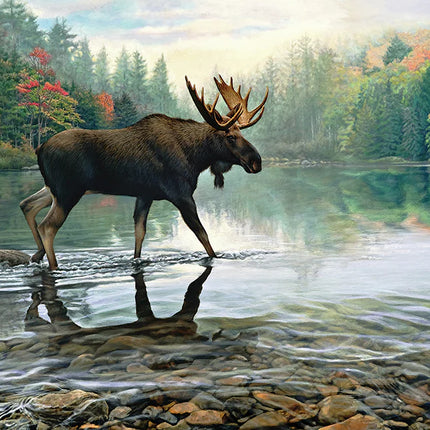 CT Cobble Moose Crossing | 1000 pieces 