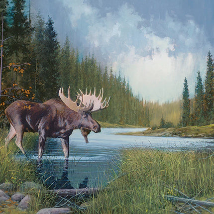 CT Cobble Moose Lake | 1000 pieces 