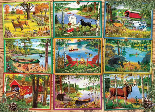 C-T Cobble Cartes postales de Lake Country | 1000 pièces