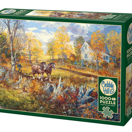 CT Cobble Fresh Start | 1000 pieces 