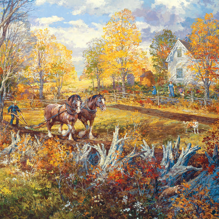 CT Cobble Fresh Start | 1000 pieces 