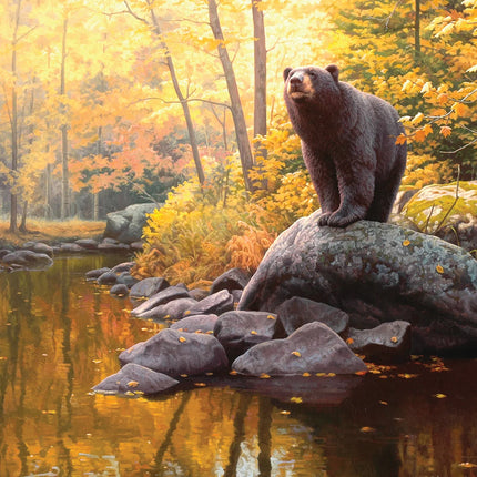 C-T Cobble Hill Black Bear Pond | 1000 Piece