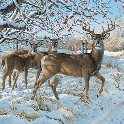 CT Cobble Winter Deer | 500 pieces 
