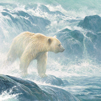 C-T Cobble Montre Saumon - Spirit Bear | 500 pièces