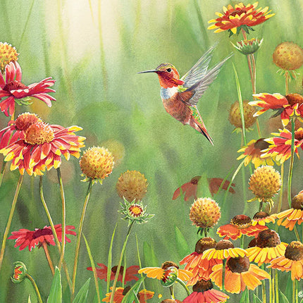 CT 500 Rufous Hummingbird | 500 pieces 