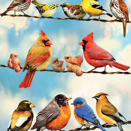 CT Cobble Birds on a Wire | 500 pieces 