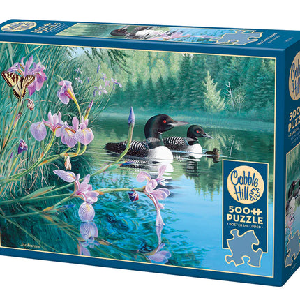 C-T Cobble Plongeons de l'anse Iris | 500 pièces