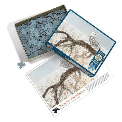 CT Cobble Fallen Willow - Snowy Owl | 500 pieces 