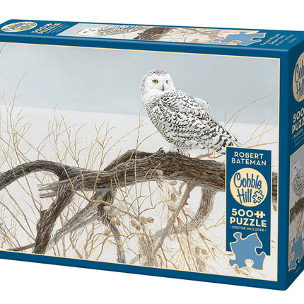 CT Cobble Fallen Willow - Snowy Owl | 500 pieces 