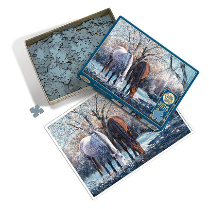 CT Cobble Winter Beauty | 500 pieces 